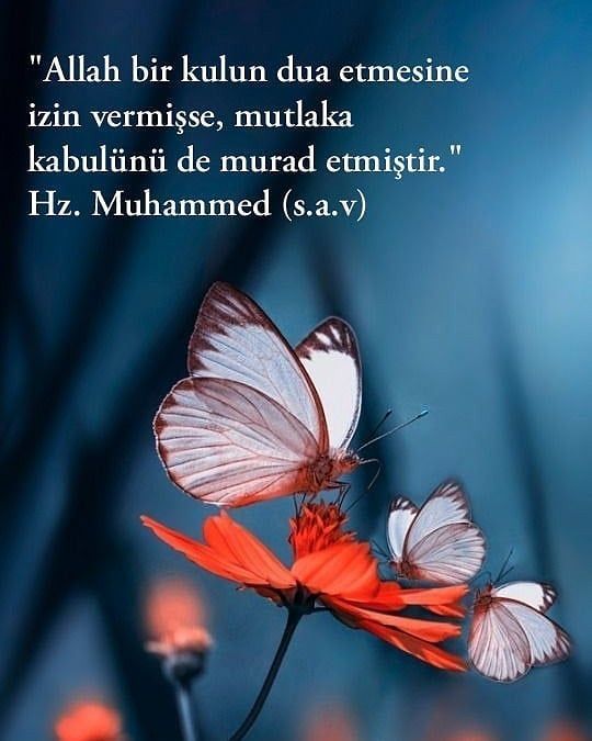 Hadis-i şeriflerden biri