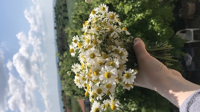 Baharın gelmesi ile hayatınızda değişiklik oldu mu?