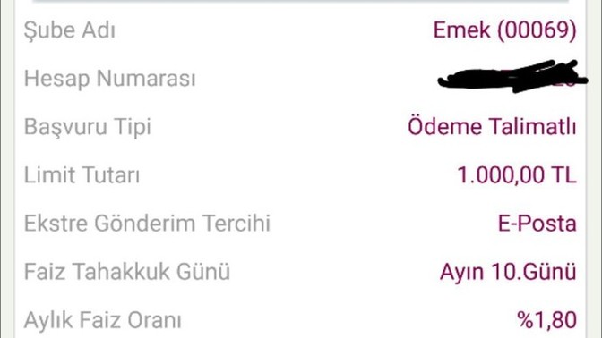 1.000 TL ek hesap başvurumda, 80.000 TL hazır kredi limiti var. Bu ne demek?