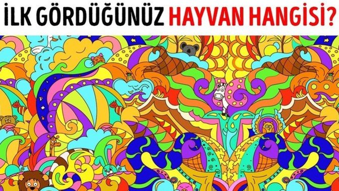 İlk gördüğünüz hayvan nedir?