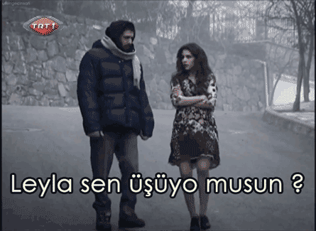Hangi erkekler öküz kategorisine girmeyi hak eder?
