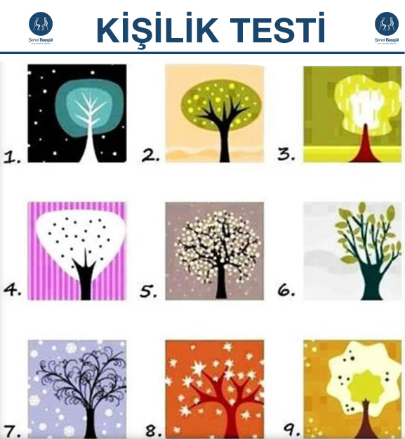 Hadi sizinle bir oyun oynayalim? agaclarla kisilik testi yapalim? bana 1 agac seçin bende kisiliginizi soyleyim?