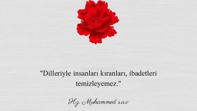 Herkese bir hadis yazacağım. Sende ister misin?