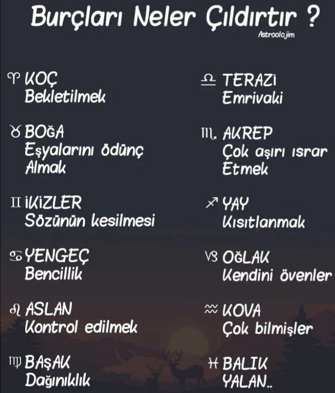 Burcuna göre seni ne çıldırtır?