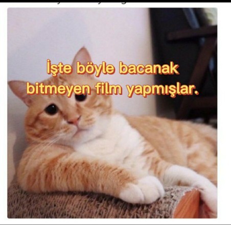 İyi ki zamanımı ayırmışım diyeceğiniz kaliteli uzun filmler hangileri?