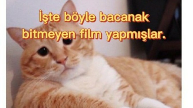 "İyi ki zamanımı ayırmışım" diyeceğiniz kaliteli uzun filmler hangileri?