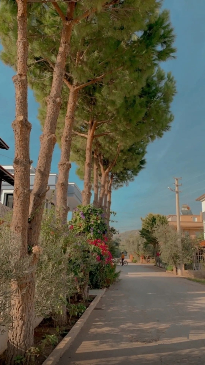 İnsanın evi gibisi var mı?