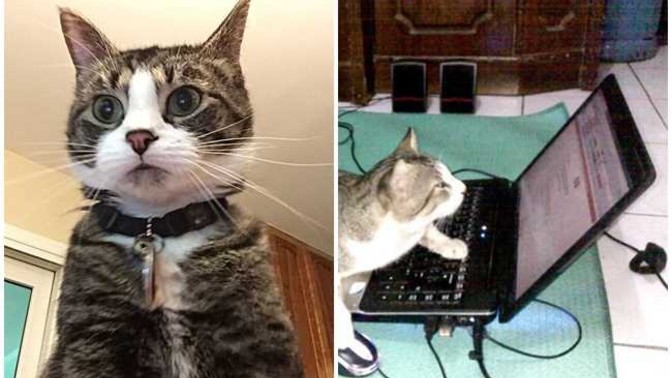 Bugün cuma dediler ben tam uyanamadım inanayım mı?