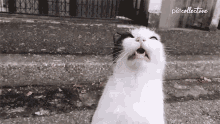 Hapşırırken ortalığı yıkanlardan mısınız yoksa kedi gibi sessiz sedasız halledenlerden mi?