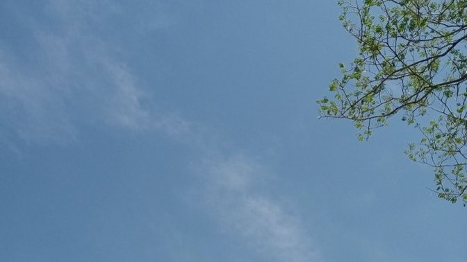 İzmir de mis gibi bir hava var orada havalar nasıl?