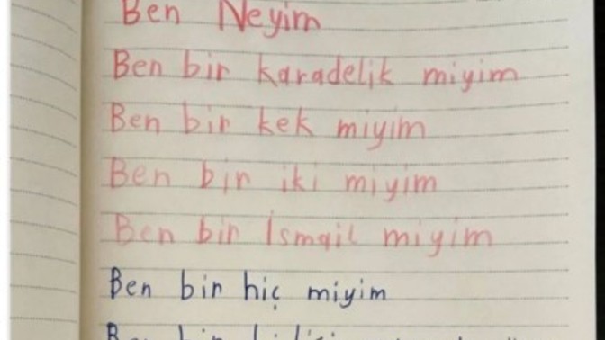 7 yaşındaki bir çocuğun yazdığı bu şiir hakkında ne düşünüyorsunuz?