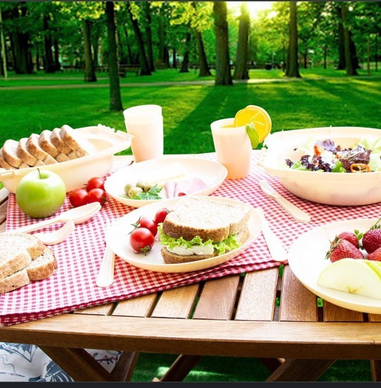 Eski usul mangallı mı yeni nesil poğaça börekli piknik mi?