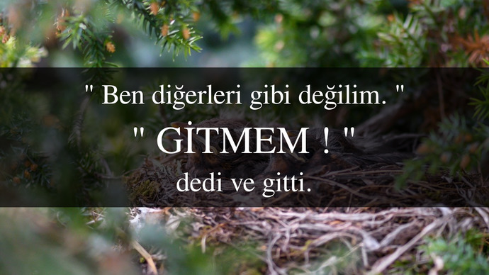 Size de gitmem deyip ( 𝐡𝐢𝐜𝐛𝐢𝐫 𝐬𝐞𝐲 𝐬𝐨𝐲𝐥𝐞𝐦𝐞𝐝𝐞𝐧 ) gidenler oldu mu?