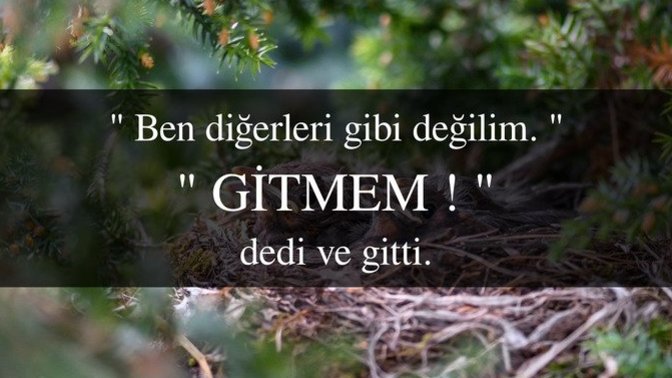 Size de gitmem deyip ( 𝐡𝐢𝐜𝐛𝐢𝐫 𝐬𝐞𝐲 𝐬𝐨𝐲𝐥𝐞𝐦𝐞𝐝𝐞𝐧 ) gidenler oldu mu?