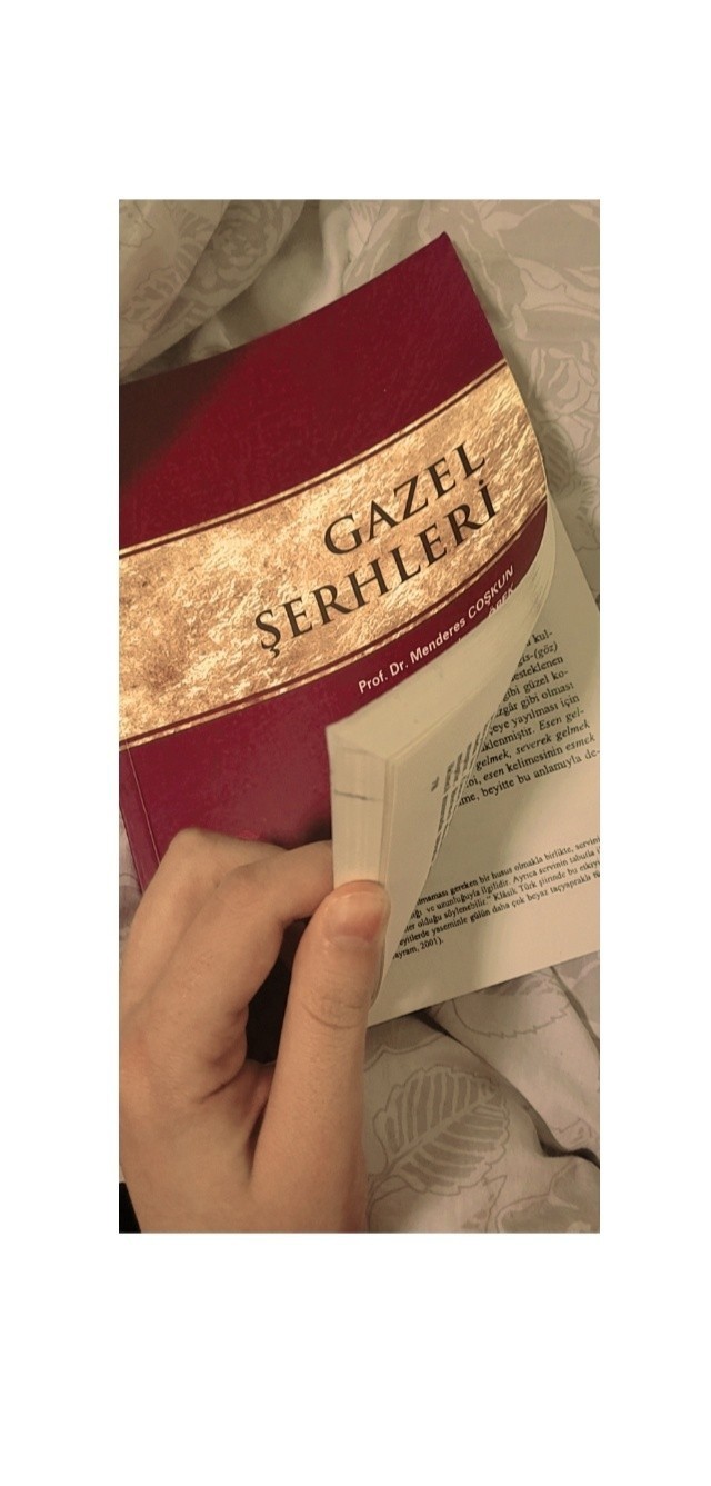 Size bir gazel hediye eyleyeyim mi?