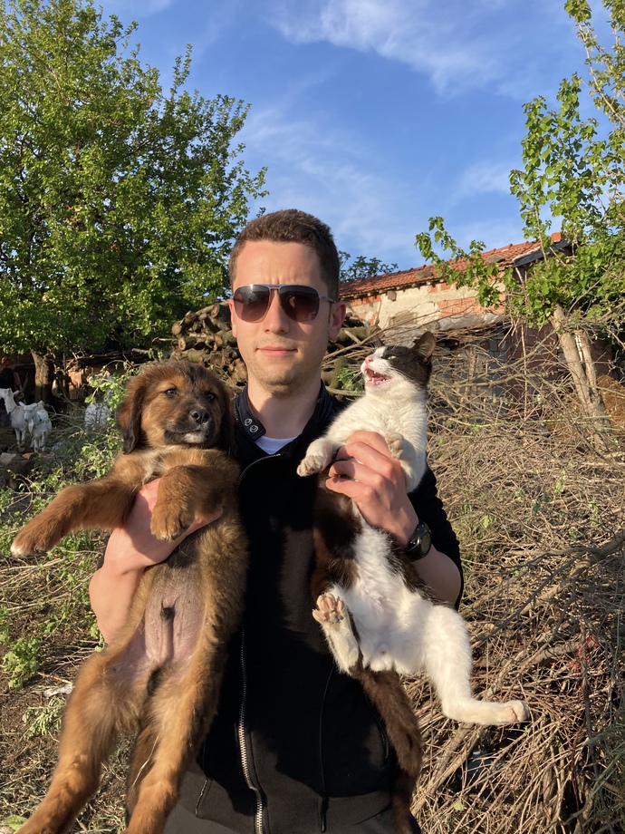 Kedi mi yoksa köpek insanı mısınız?