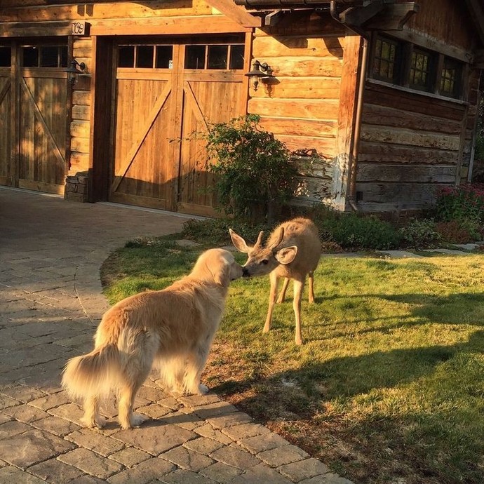 Sahiden zıt kutuplar birbirini çeker mi?