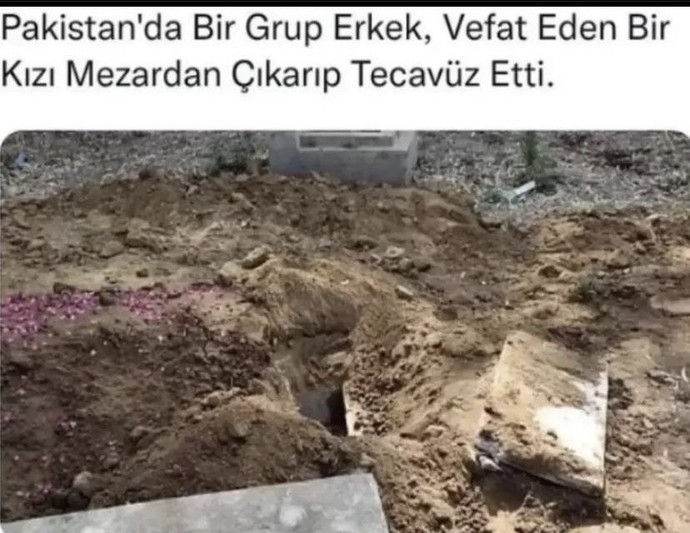 Türkiyeye geçiş yapmışlar mıdır?