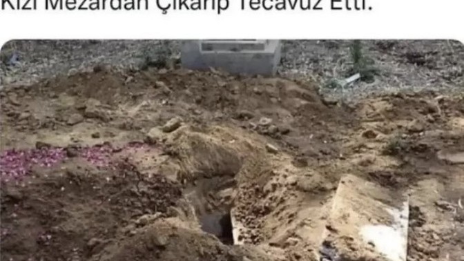 Türkiye'ye geçiş yapmışlar mıdır?