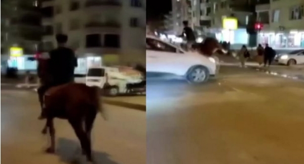 Hatayda at ile otomobil çarpıştı! Hiç ata bindiniz mi?