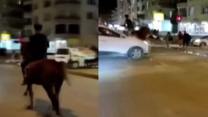Hatay'da at ile otomobil çarpıştı! Hiç ata bindiniz mi?