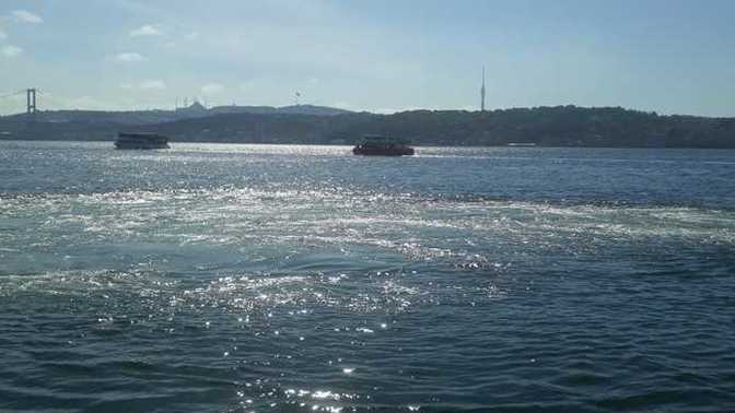 Bu güzel pazar günü benim gibi çalışmak zorunda kalanlar var mı?
