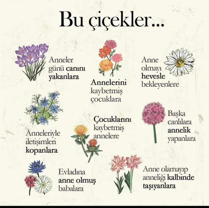 Anneler gününüz kutlu olsun?