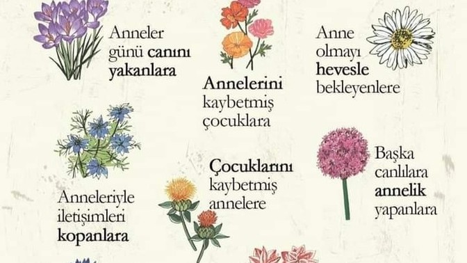 Anneler gününüz kutlu olsun?