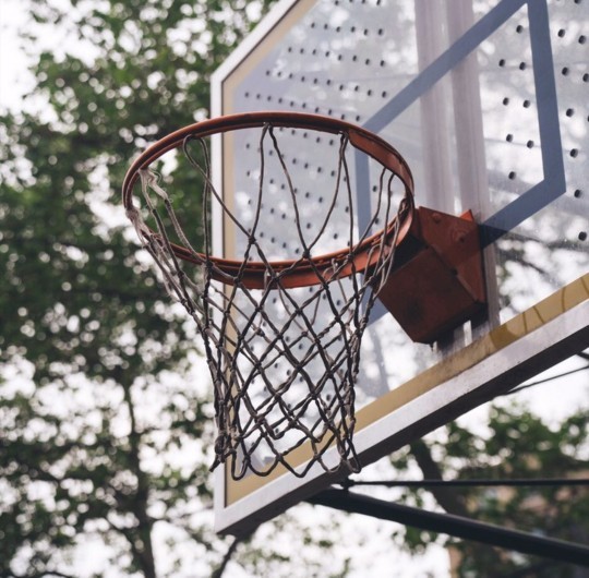 Sizce hangi spor branşı koruma altına alınmalı?