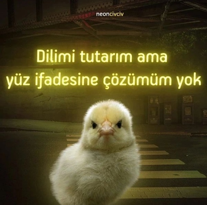 😅😅😅