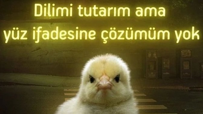 Aklınızdan geçenler yüz ifadenize yansıyor mu?