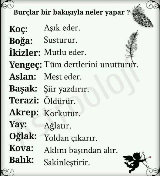 Burcuna göre bir bakışınla ne yaparsın?