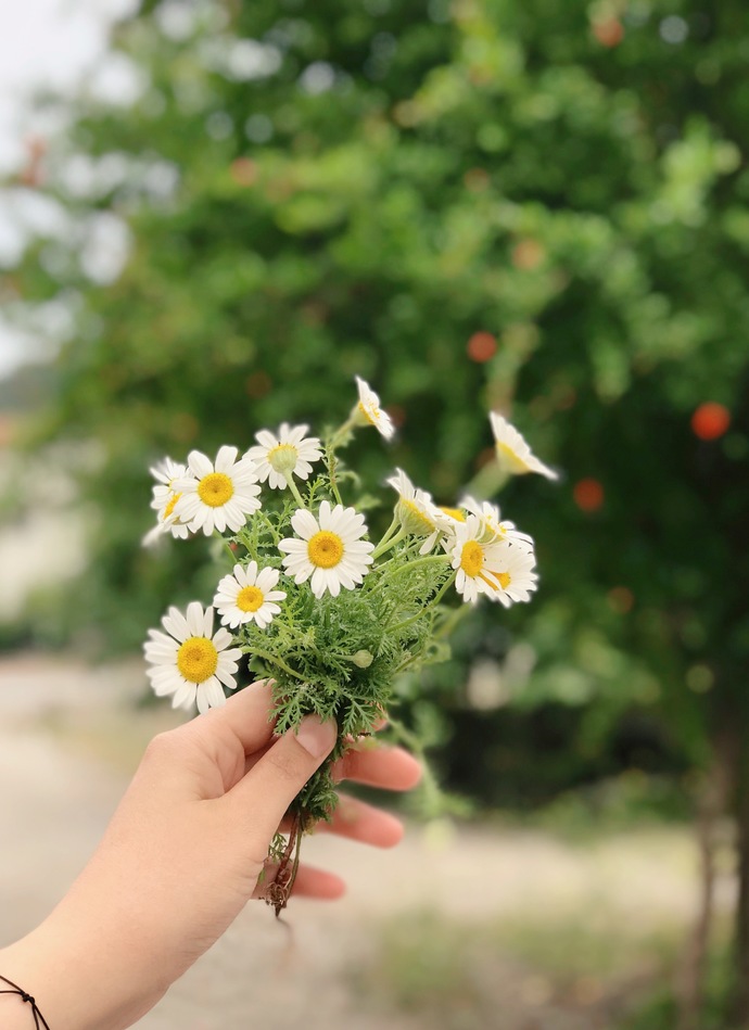 Çok tatlılılarr🥰