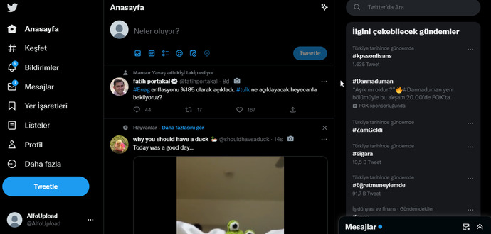 Timeline özellikleri nelerdir?