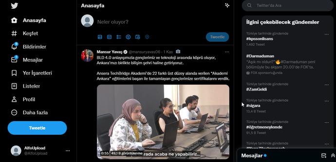 Timeline ne ise yarar?