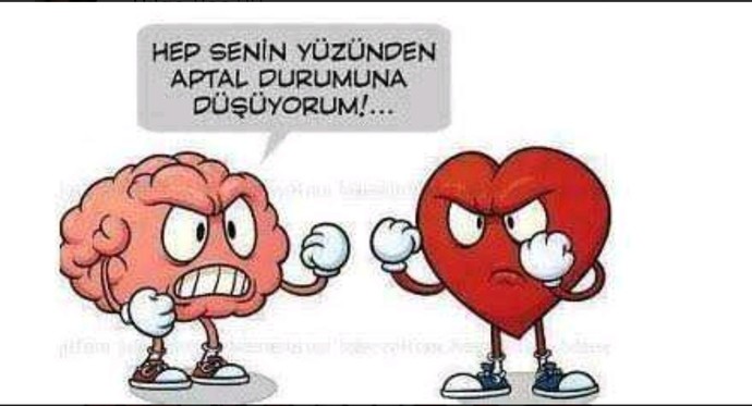 İlişkide (kalp/mantık) tercihin hangisidir?