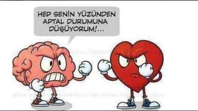 İlişkide (kalp/mantık) tercihin hangisidir?