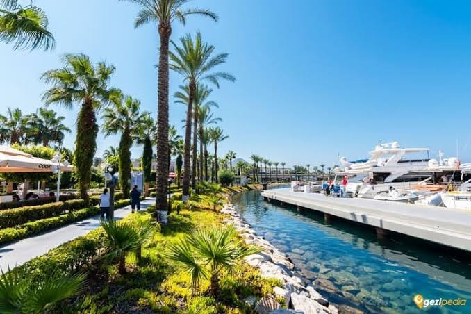 Tatil planınızı hangi bölgede yaptınız?