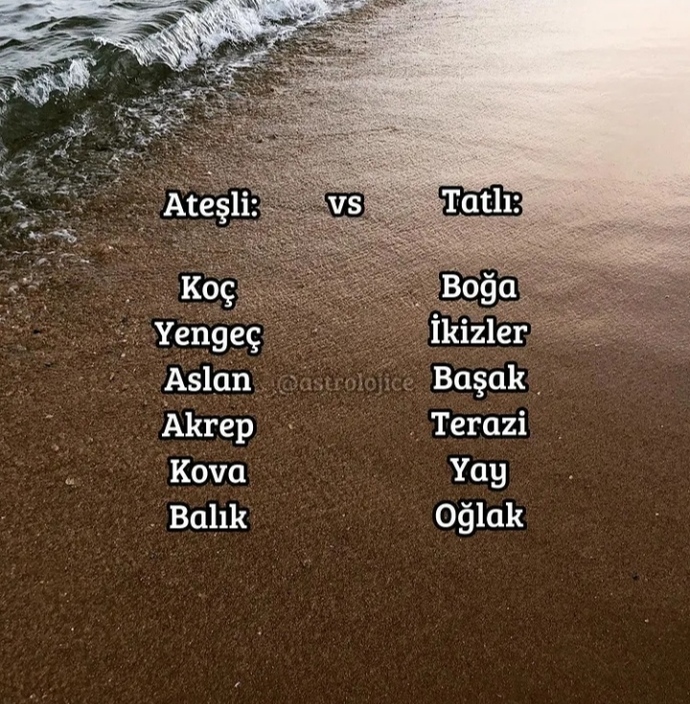 Burcuna göre sen nesin ☺️?