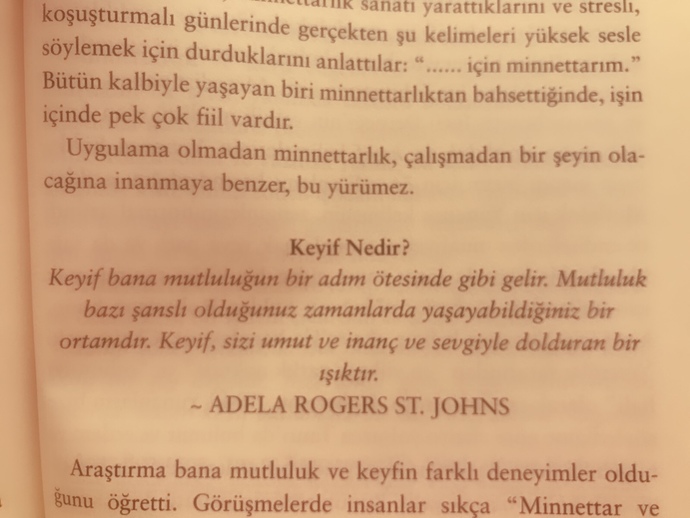 Keyif mi yoksa mutluluk mu?