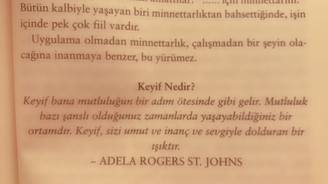 Keyif mi yoksa mutluluk mu?