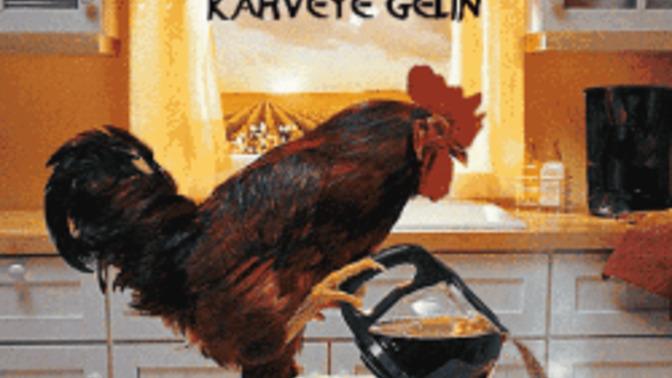 Tanımadığınız insanlar Günaydın veya Merhaba dediğinde karşılık verir misiniz?
