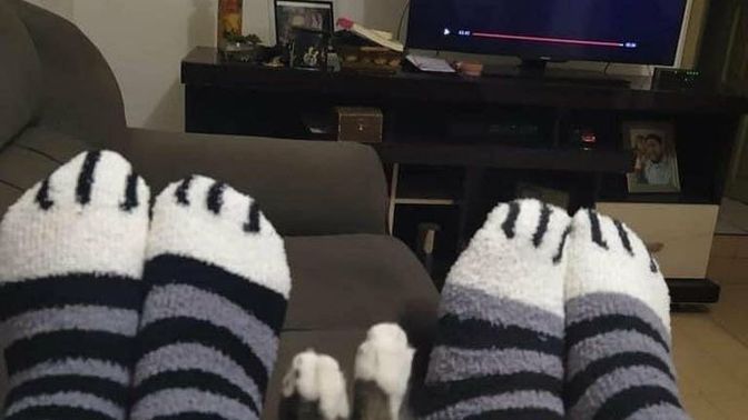 Evcil dostuna olan sevgini neye benzetiyorsun?