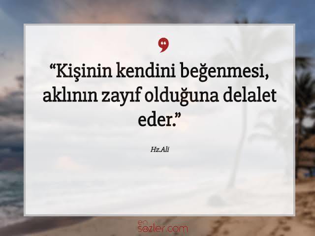 Her fırsatta kendisini övene karşı tutumunuz nedir?