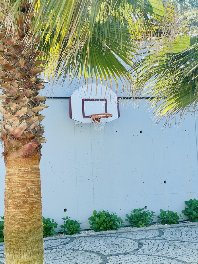 Kapalı alanda mı basketbol oynarsınız yoksa açık alanda mı?