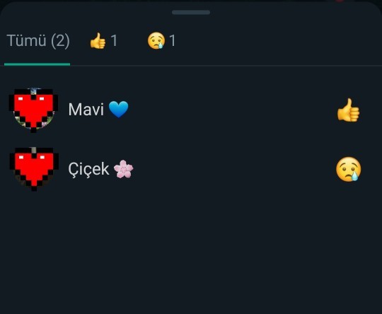 WhatsAppa gelen yeni özelliği gördünüz mü?