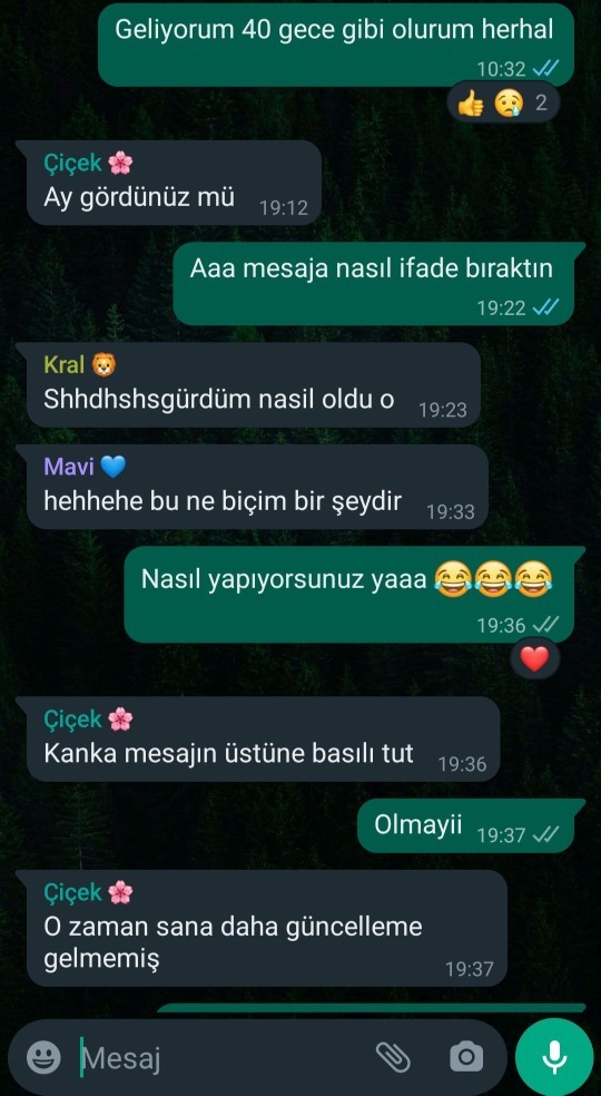 WhatsAppa gelen yeni özelliği gördünüz mü?