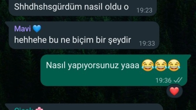WhatsApp'a gelen yeni özelliği gördünüz mü?