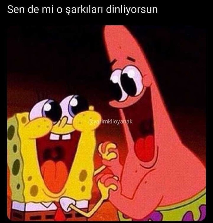 Sizinle aynı şarkıları dinleyen kişiye yakınlık duyuyor musunuz?