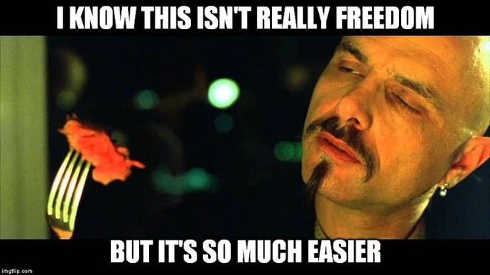 Neyi bilmeyi isterdiniz?